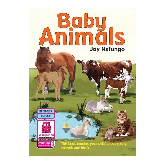 Baby Animals