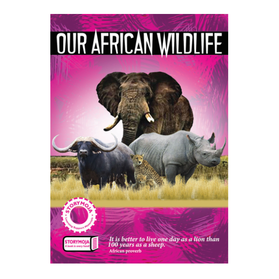 Our African Wildlife